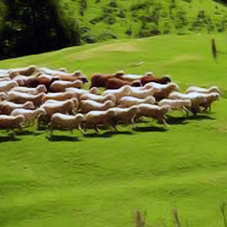 賞楓、泡湯兩相宜  (第一天)